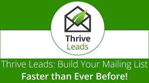 Thrive leads to grow email list