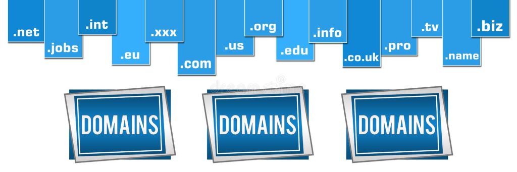 Domain Flipping - make r1000 a day in south africa