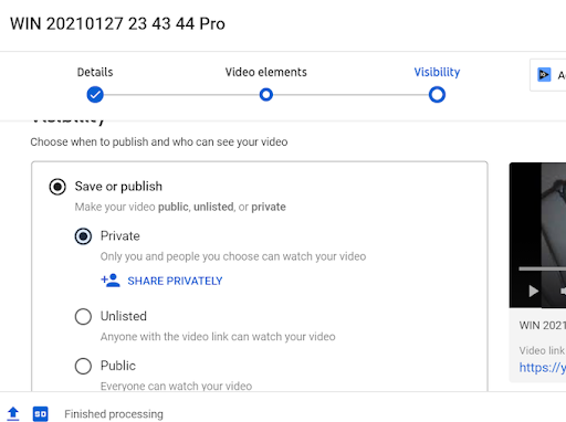 private youtube video sharing options- How To Share A Private YouTube Video