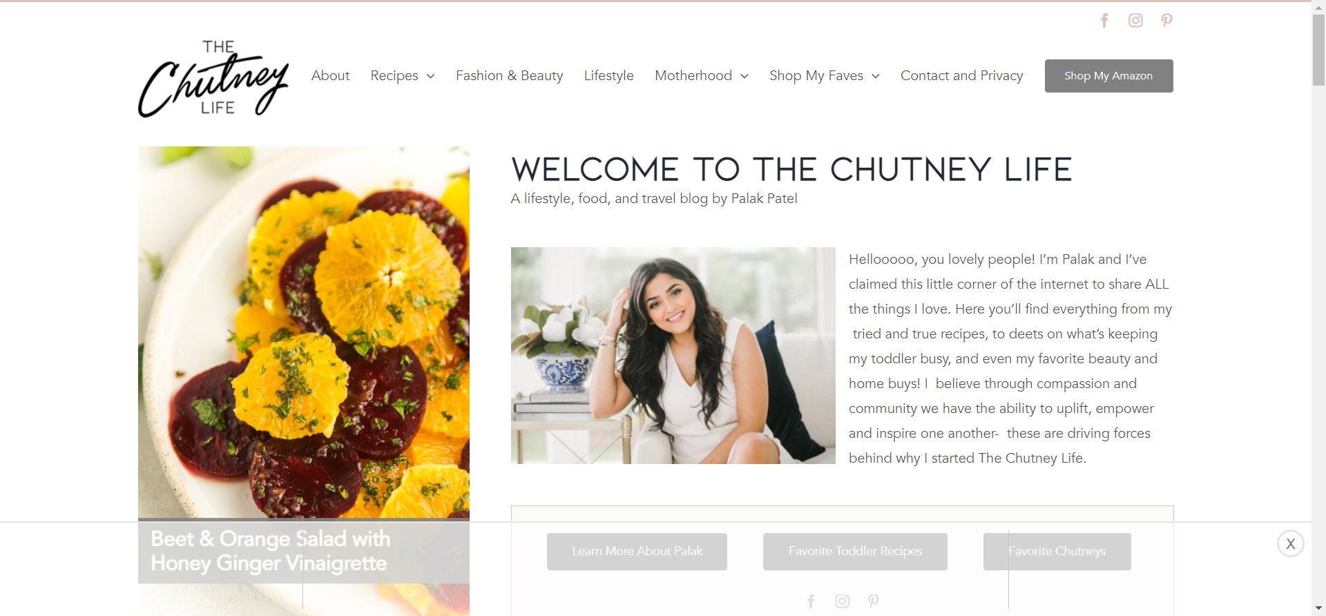 The Chutney Life by Palak