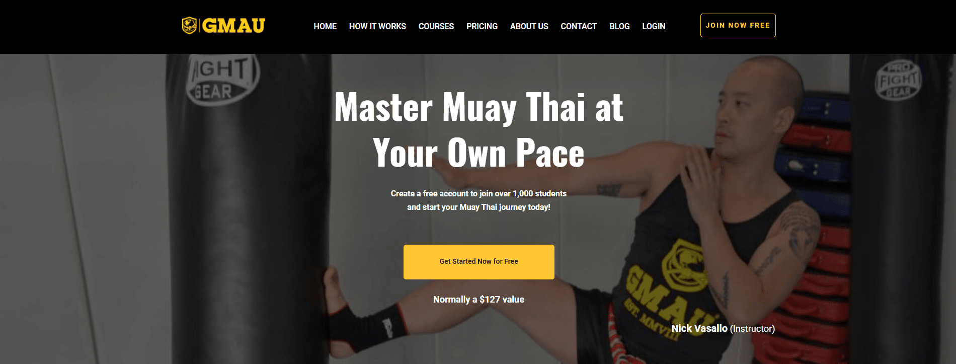 Master Muay Thai from Home (GMAU) - Online Martial Arts Training