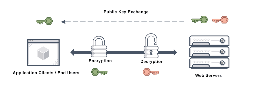 How to Fix Common SSL Issues in WordPress