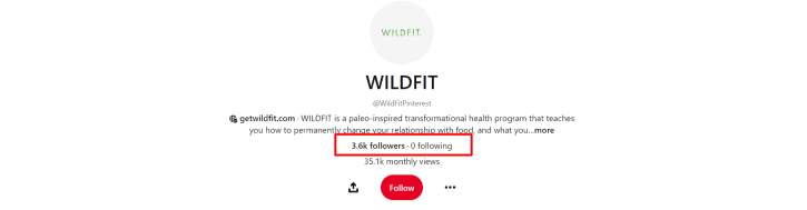 Wildfit Pinterest-Profil