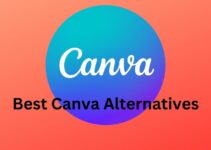 12 Best Canva Alternatives In 2024: Which One To Choose?