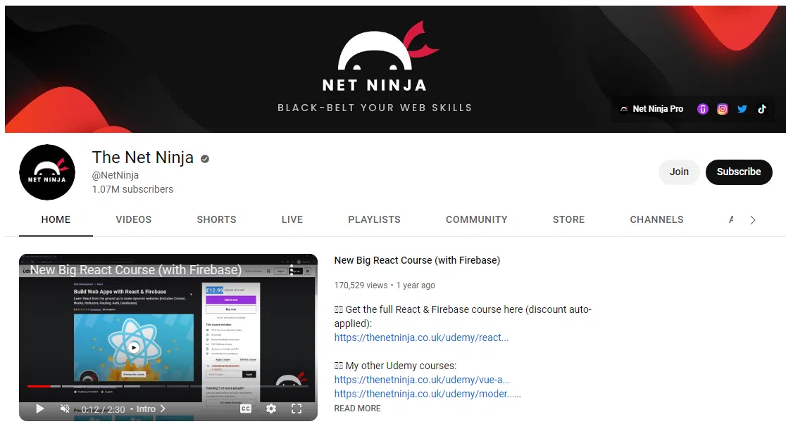 The Net Ninja Channel Overview