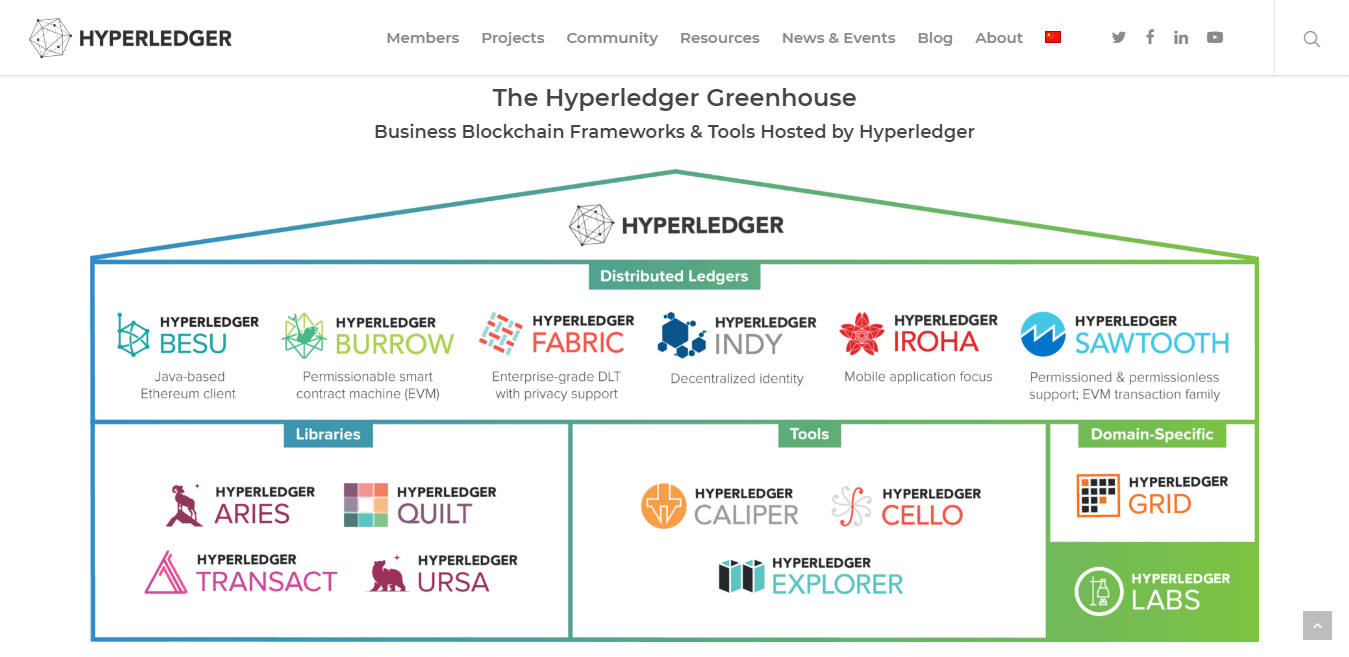 Linux-Foundation-Review-Hyperledger-Gewächshaus