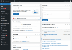 WordPress Activity Logging & Tracking